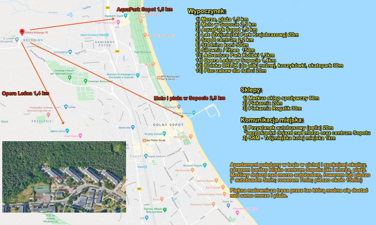 Biała Mewa Sopot